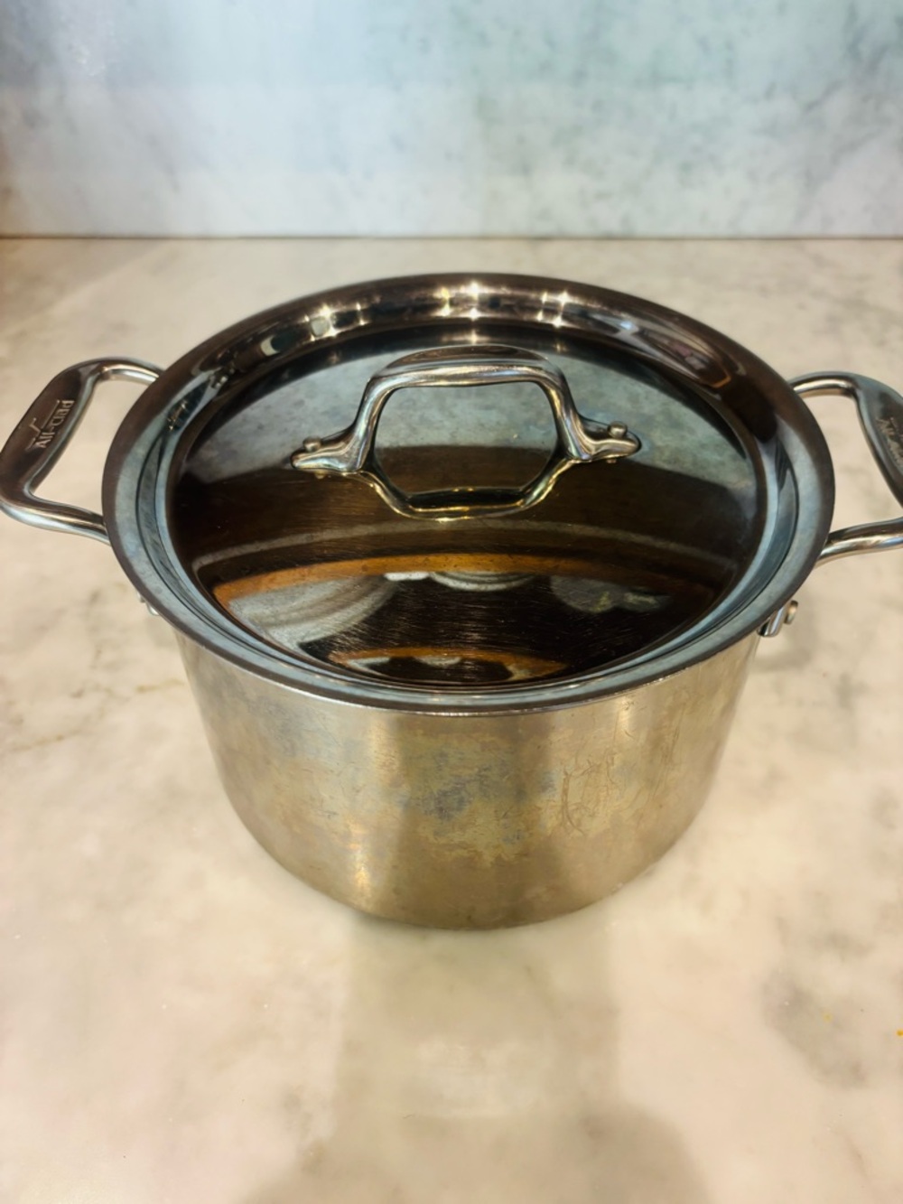 All clad Stainless Steel Pot with Lid - Silver